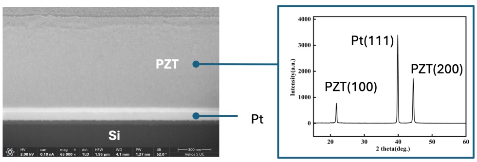 Mrundiko wa Kawaida wa Wafers za Kauri za Piezoelectric za PZT